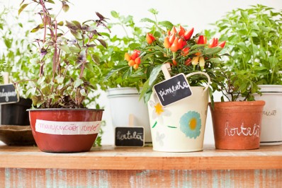 horta_blog2
