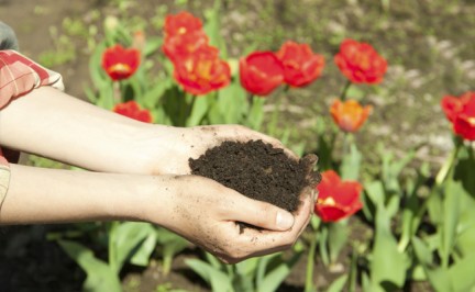 compostagem
